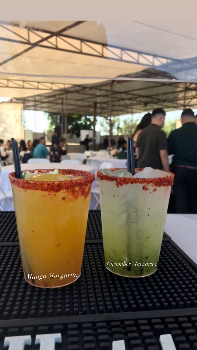 8638EEF0 9213 43B2 8B2C A1AFA0894C1F 768x1365