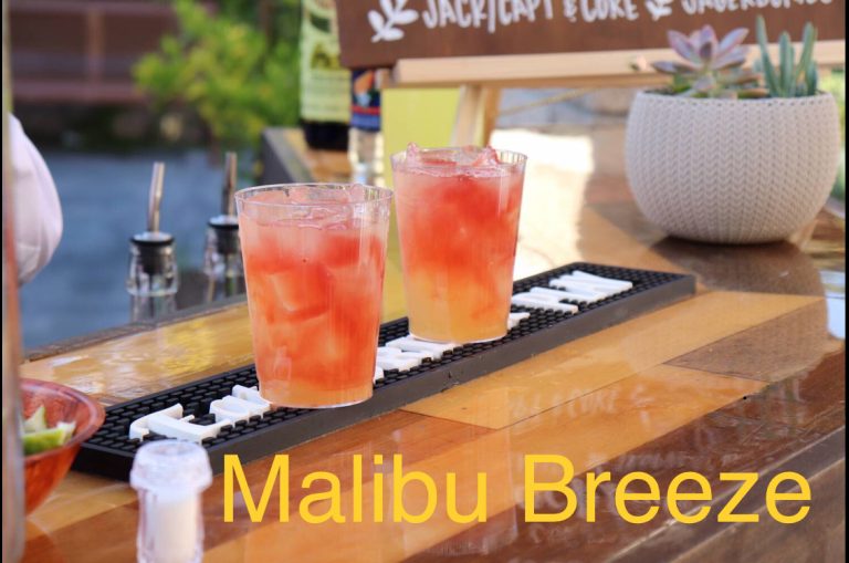 E8832F06 CBF7 48D7 AAB1 1CC915FC96C7 768x509