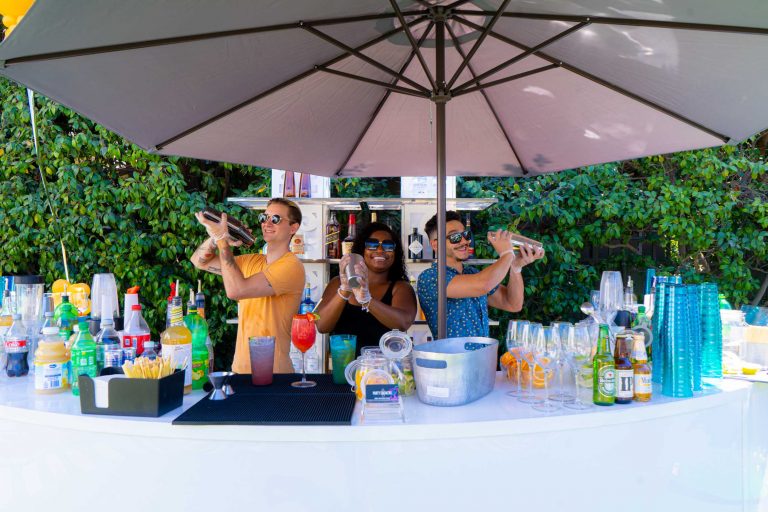 Party Shakers bartending services  3 768x512