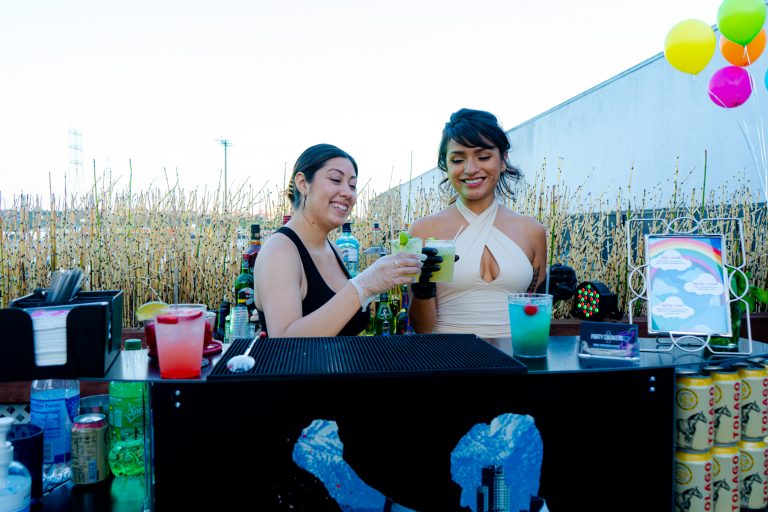 Party shakers bartending services  2 768x512