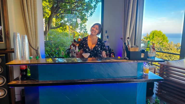 Party shakers bartending services  4 768x433